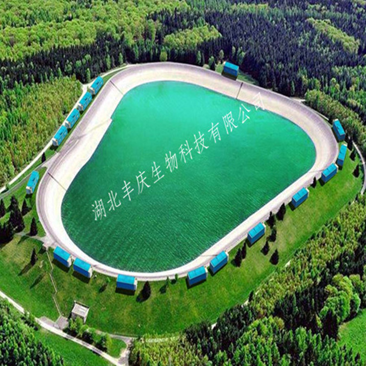 循環(huán)水養(yǎng)殖設(shè)備|循環(huán)水養(yǎng)殖系統(tǒng)需要哪些設(shè)備